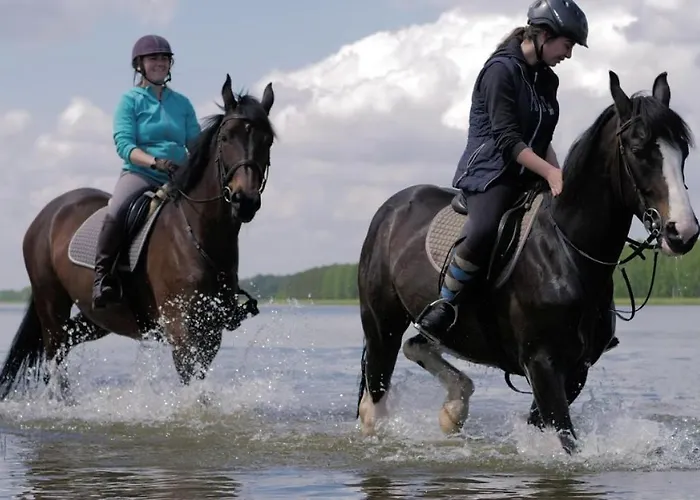 شقة Przy Sercu Starowki Calkowicie Nowy 2021, Beautiful In The Old Town Bulit 2021 *